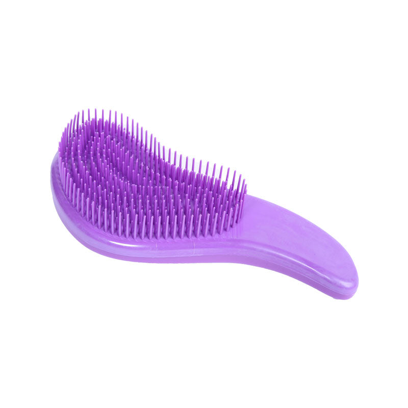Detangler Brush Beauty Hair & Co